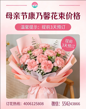 蚌埠五河县花店母亲节康乃馨花束