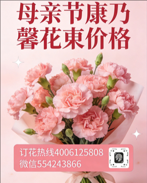 蚌埠五河县花店母亲节康乃馨花束